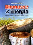 biomasse ed energia conoscere scegliere trasformare le biomasse in energia