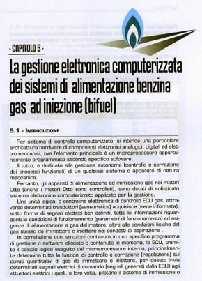 LA GESTIONE COMPUTERIZZATA DEI SISTEMI DI ALIMENTAZIONE BENZINA GAS AD INIEZIONE BIFUEL